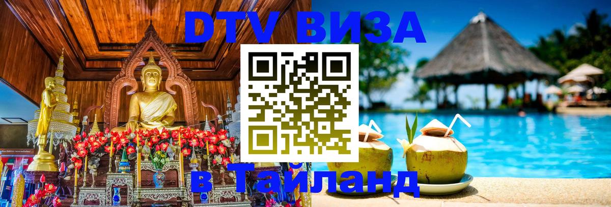 Сколько стоит DTV виза — актуальные цены, оформление даже без документов - 19.11.2025 